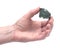 Woman`s hand holding Moldavite