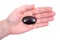 Woman`s hand holding rare high quality eudialyte mineral palm stone from Russia
