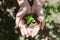 Woman`s hand holding sprout plant, seedling plant in ground. Top view. Saving earth and planting tree