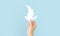 Woman`s hand holding white paper dove bird on blue background, international day of peace