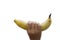 The woman\'s hand holds a banana, is isolated on a white backgrou