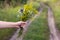 Woman\\\'s hand holds a bouquet of wildflowers in the middle of a dirt road