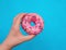 A woman`s hand holds a pink donut on a blue background. Confectionery products. Harmful fast food
