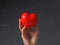 A woman`s hand holds a red heart on a gray background with her fingers. Concert of health, love