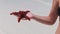 Woman's Hand Holds a Red Starfish over Transparent Ocean Water on White Beach