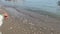 A woman\\\'s hand holds a rock and throws it onto the beach with small waves