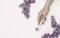 A woman`s hand with a mesoroller and lilac flowers on a white background. Concept of skin care, anti-wrinkle, Spa