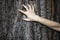 The woman`s hand move on the tree. Can be used in the scary design in horror. A female hand with long nails against a dark