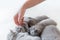 Woman`s hand petting a cluster of cats. British Shorthair.