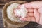 Woman\'s hand picking uncooked rice in a small burlap sack.