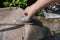 Woman\'s hand placing kindness rock onto old garden tool