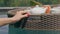 A woman& x27;s hand with a red manicure turns a wicker floating breakfast table in the pool. Close-up of a wonderful