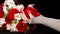 Woman& x27;s hand with red rosebud. Female hand in stylish knitted glove with flower head on black background with flower