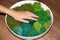 A woman`s hand on the round panel of green stabilized moss for ecological interior decoration of an office or apartment