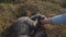 A woman`s hand scratches a gray cat lying on the hay