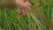 A woman`s hand strokes the green grass. The camera follows the hand through the grass