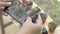 Woman`s hand taking photo of little potted plants with mobile phone for social online trading.