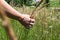 Woman`s hand touching the grass, `feeling nature`