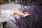 Woman`s Hand Touching Lavender, Feeling Nature