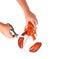 Woman\'s hands cutting the steam Canadian lobster
