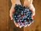Woman\'s hands with grapes
