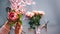 Woman`s hands hold beautiful red flower and frond. Roses lying together with nippers. on grey background.