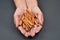 Woman\'s hands holding brown pods cinnamon isolated on black back