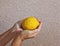 Woman`s hands holding citrus fruit