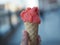 Woman`s hands holding melting strawberry ice cream waffle cone i