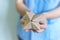 Woman`s hands holding a paper fortune teller