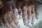 Woman`s hands with manicured nails work with dough in the kitchen