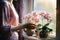 Woman\\\'s hands nurture a blooming Phalaenopsis orchid by the window