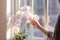 Woman\\\'s hands nurture a blooming Phalaenopsis orchid on the windowsill