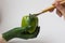 Woman`s hands painting fresh green pepper