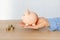 a woman\'s hands with a piggy bank on the office table. crisis and inflation. Cost Management