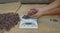 Woman`s hands placing dried cacao beans on a digital scale on a table