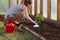 Woman`s hands planting tomato seedlings in greenhouse. Organic gardening and growth concept