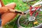 Woman`s hands pumping up a bike tire using small hand pump