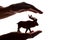 Woman`s hands with rare endangered animal figure - silhouette, protecting animals