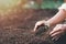 Woman\'s hands scooping soil to plant trees, environmental conservation concept Protect and preserve resources plant trees to
