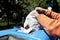 Woman\'s hands throwing garbage in a bin