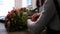 Woman`s hands, who makes a bouquet of flowers in a flower shop, a lady ties a bow ribbon to green stems with leaves.