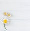Woman`s Jewellery. Vintage jewelry background. Beautiful daisy vintage brooch and earrings on white. Flat lay, top view