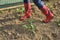 Woman`s Legs in Red Boots in a Garden