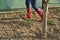 Woman`s Legs in Red Rubber Boots in a Garden