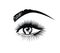 Woman`s luxurious eye. Eyelashes