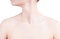 Woman\'s neck and shoulders