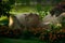 Woman's sculpture lying in the green grass surrounded by colorful trees in Biblical Garden Elgin