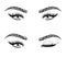 Woman\\\'s sexy luxurious eye with perfectly shaped eyebrows and fluffy lashes.