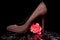 Woman\'s Shoe and rose